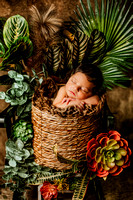 Krissie & Family - Newborn Photography
