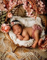 Journi - Newborn & Family Photography