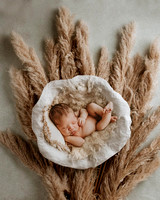 Josiah - Newborn Photography