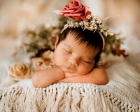 Jasmine & Family - Newborn Photography